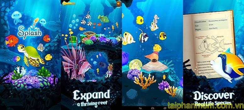 Splash: Underwater Sanctuary cho Android Game khám phá đại dương